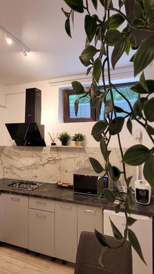 Luxury Mansion Apartment บูคาเรสต์ ภายนอก รูปภาพ